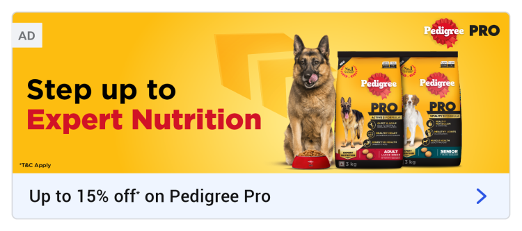 Pedigree flipkart outlet